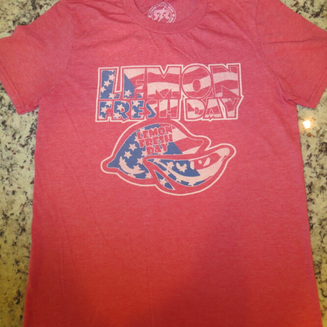 LFD Red, White & Blue Independence tee